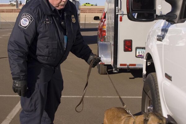 CBP dog