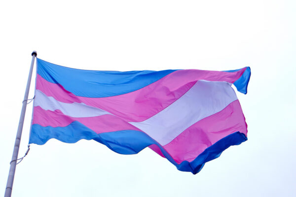 transgender flag