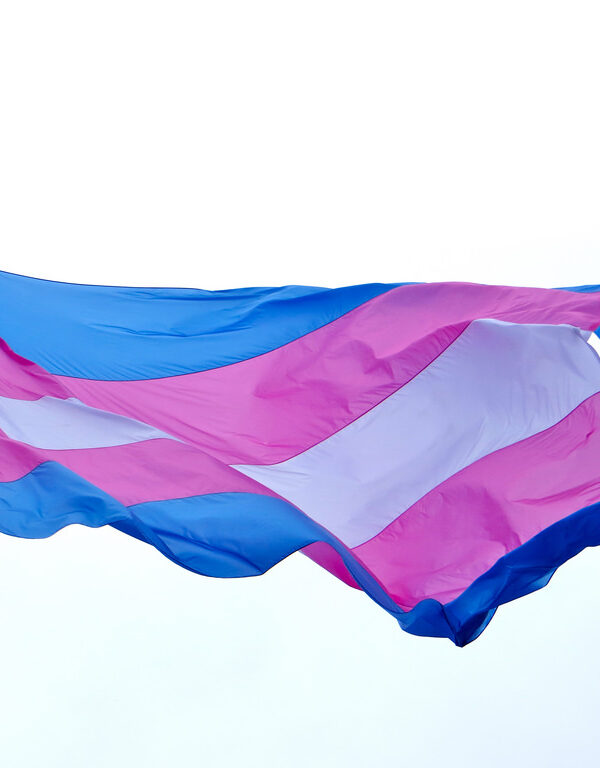 transgender flag