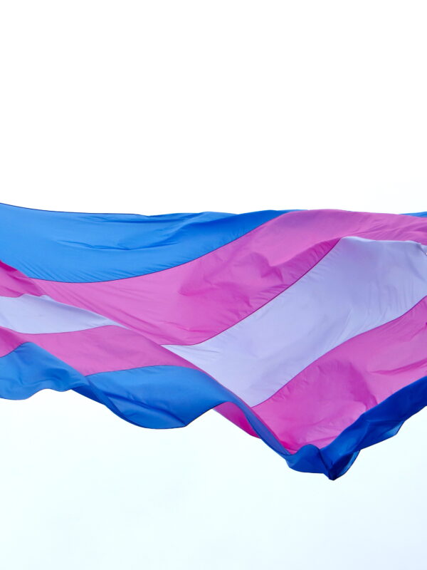 Trans flag