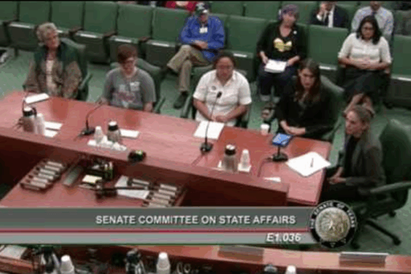 Screen shot of Kali Cohn testimony