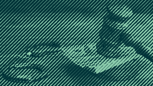 Green gavel and cash