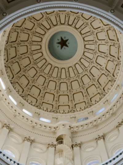 Find out how these candidates voted on these priority issues.