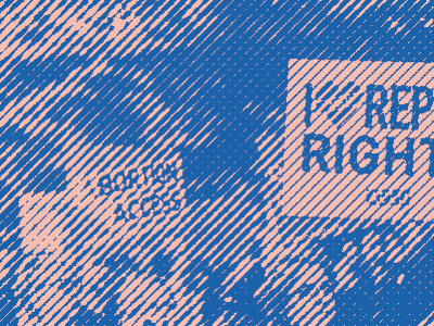 30 Mins: Reproductive Rights webinar