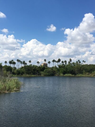 UT Rio Grande Valley