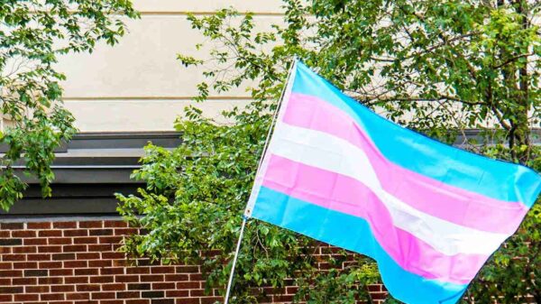 Trans Flag March