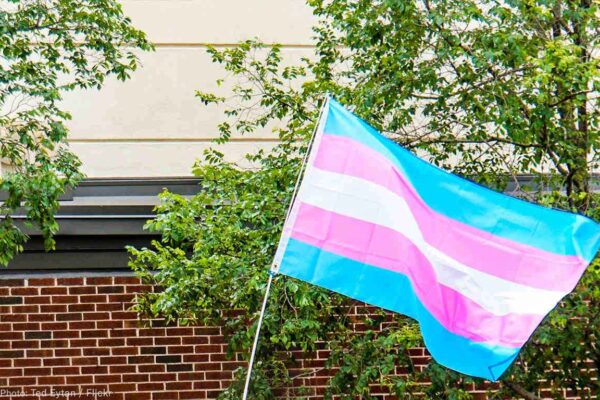 Trans Flag March