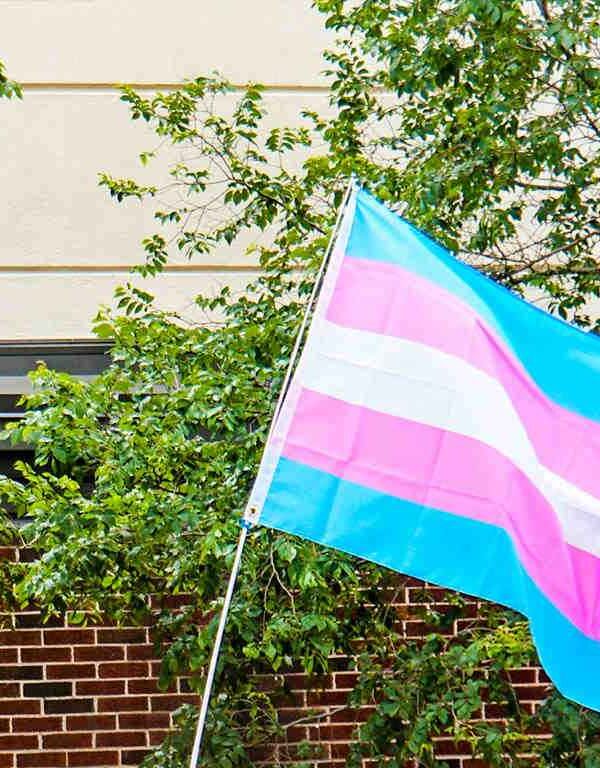 Trans Flag March