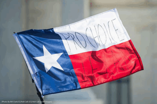 Texas state flag with the words "Pro Choice Texan" written on the horizontal elements