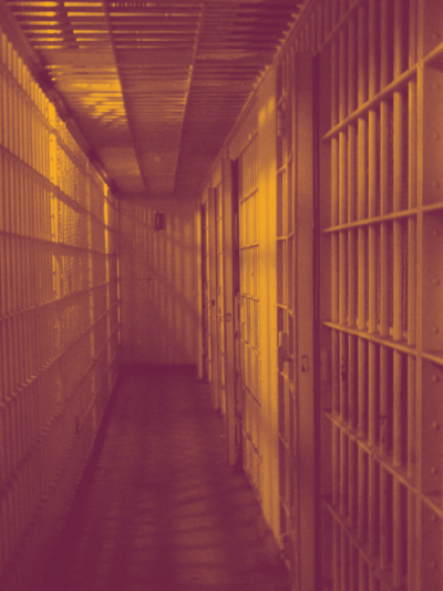 Covid 19 pre-trial release