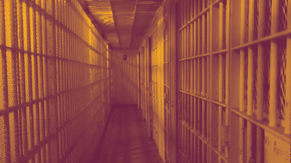 Covid 19 pre-trial release