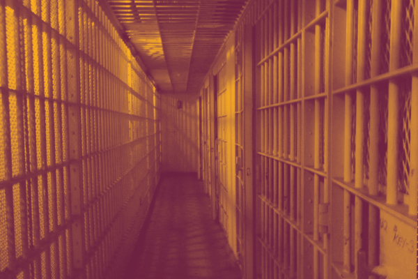 Covid 19 pre-trial release