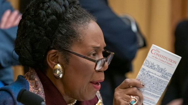 Rep. Sheila Jackson holds a pocket-size copy of The Constitution during a House committee hearing.