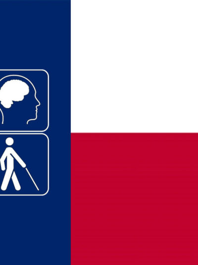 Disability pride month + Texas state flag