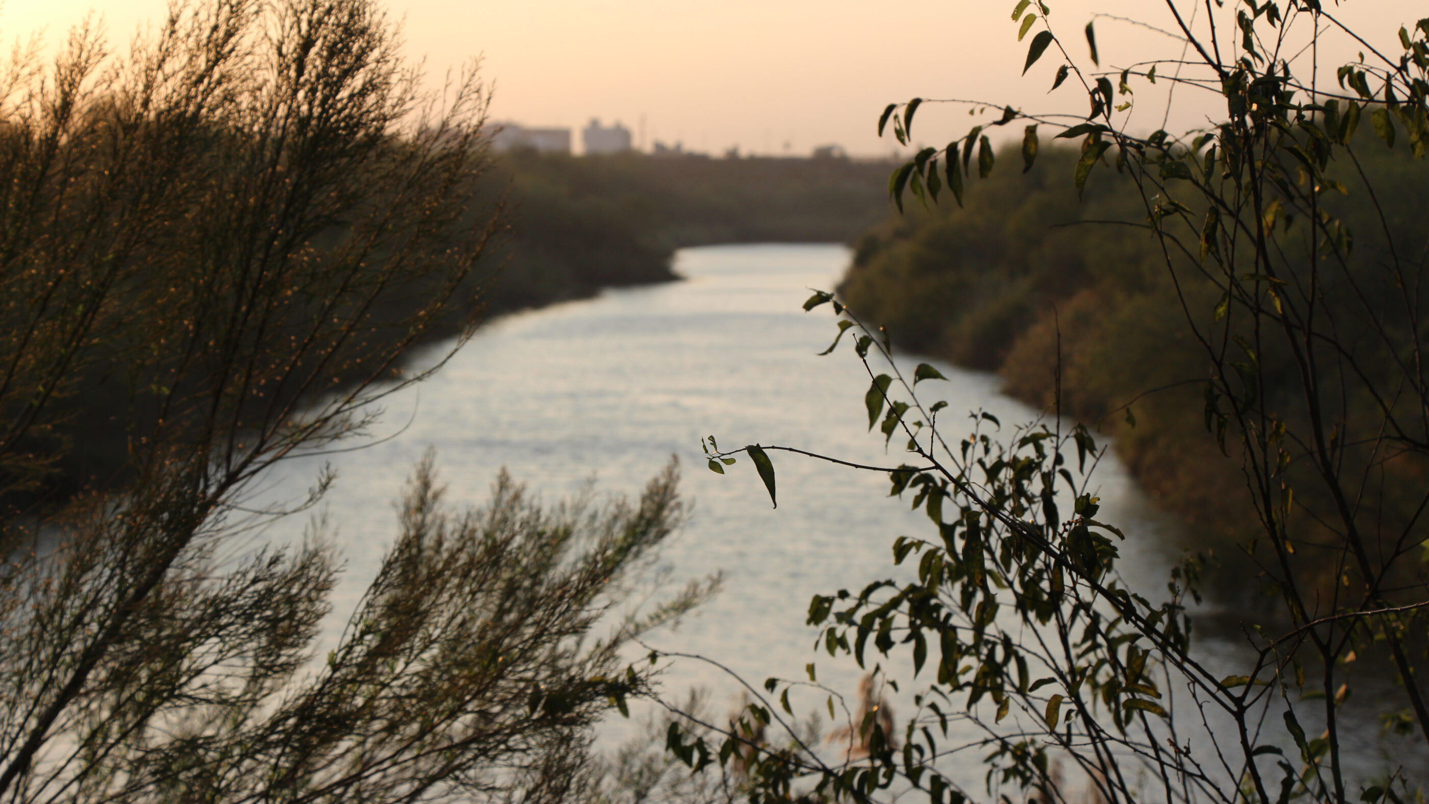 Image of the Rio Grande near Brownsville Texas