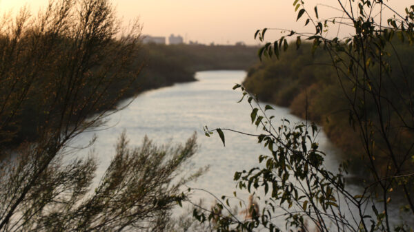 Image of the Rio Grande near Brownsville Texas