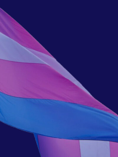 Transgender flag