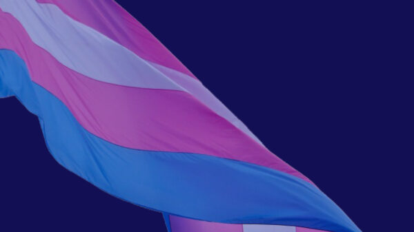Transgender flag