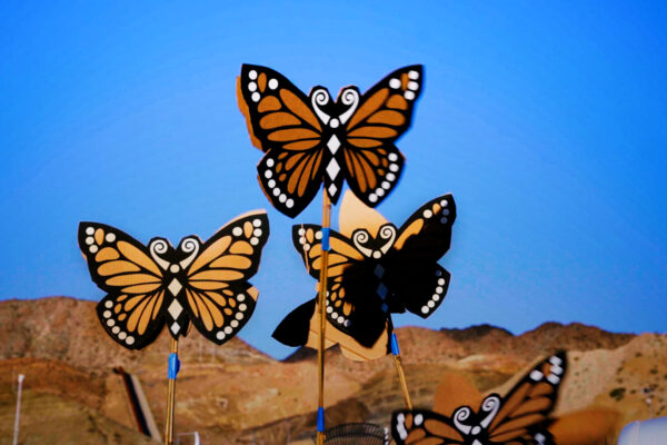 Butterflies at the U.S.-Mexico border