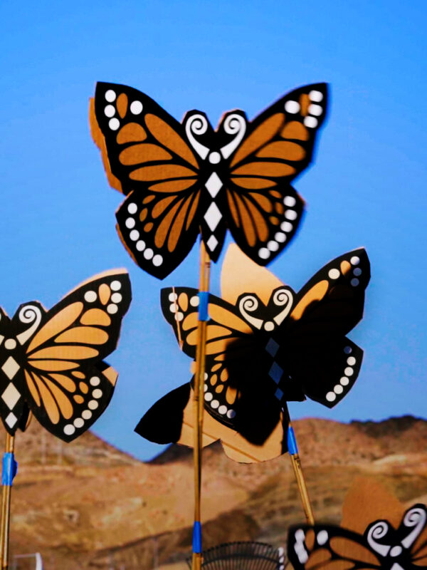 Butterflies at the U.S.-Mexico border