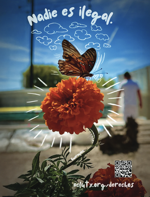 Image of a butterfly on a carnation and it has the text Nadie es ilegal on top