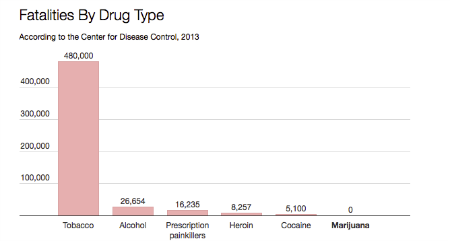 Drug fatalities by type