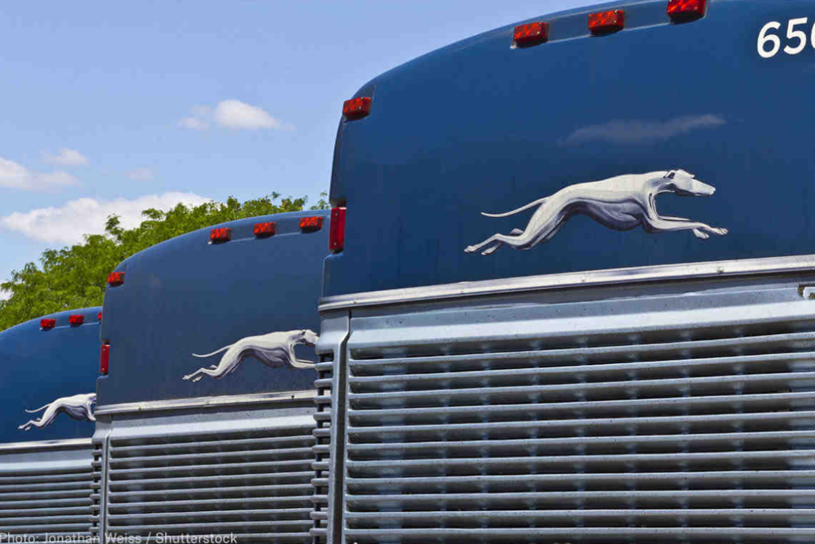 Greyhound Buses