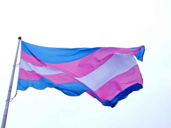 transgender flag