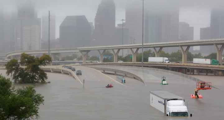 harvey