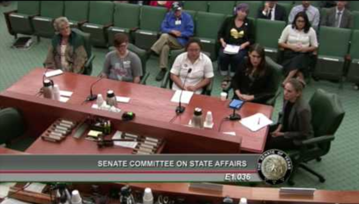 Screen shot of Kali Cohn testimony