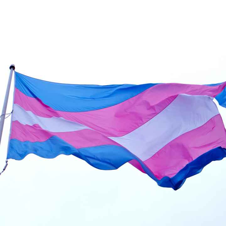 transgender flag