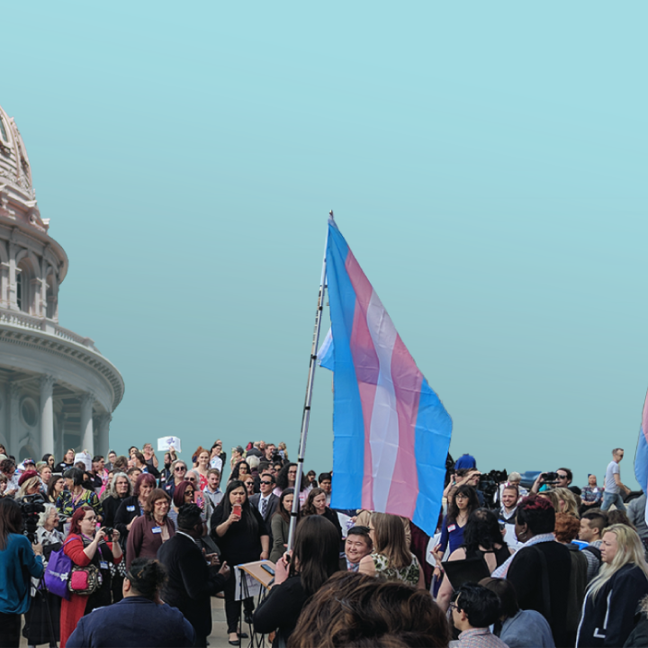 Pro-trans rights advocates at the Texas Capitol