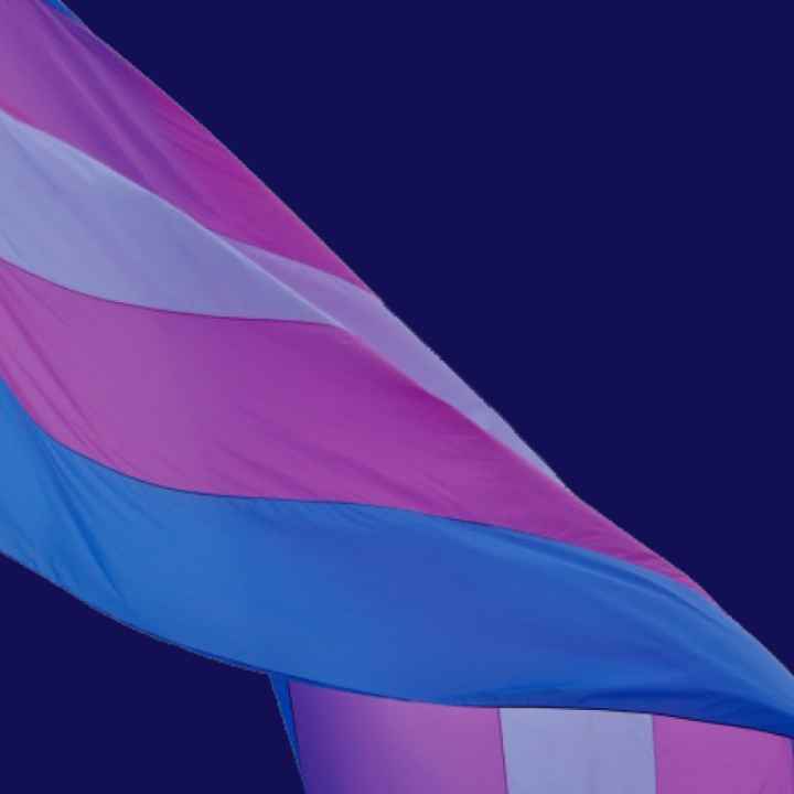 Transgender flag