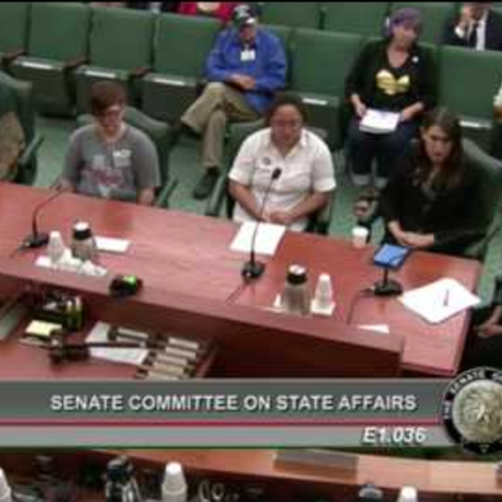 Screen shot of Kali Cohn testimony