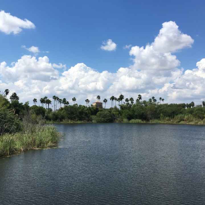 UT Rio Grande Valley