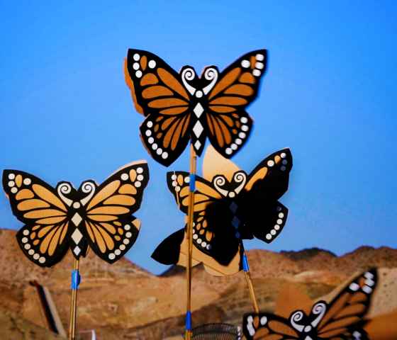 Butterflies at the U.S.-Mexico border 