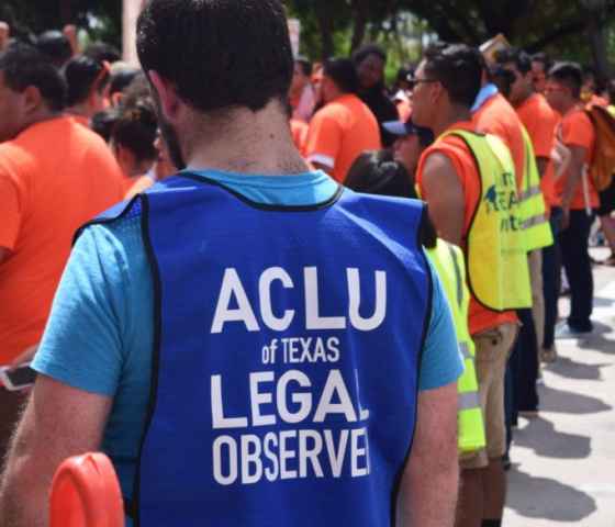 legal observer